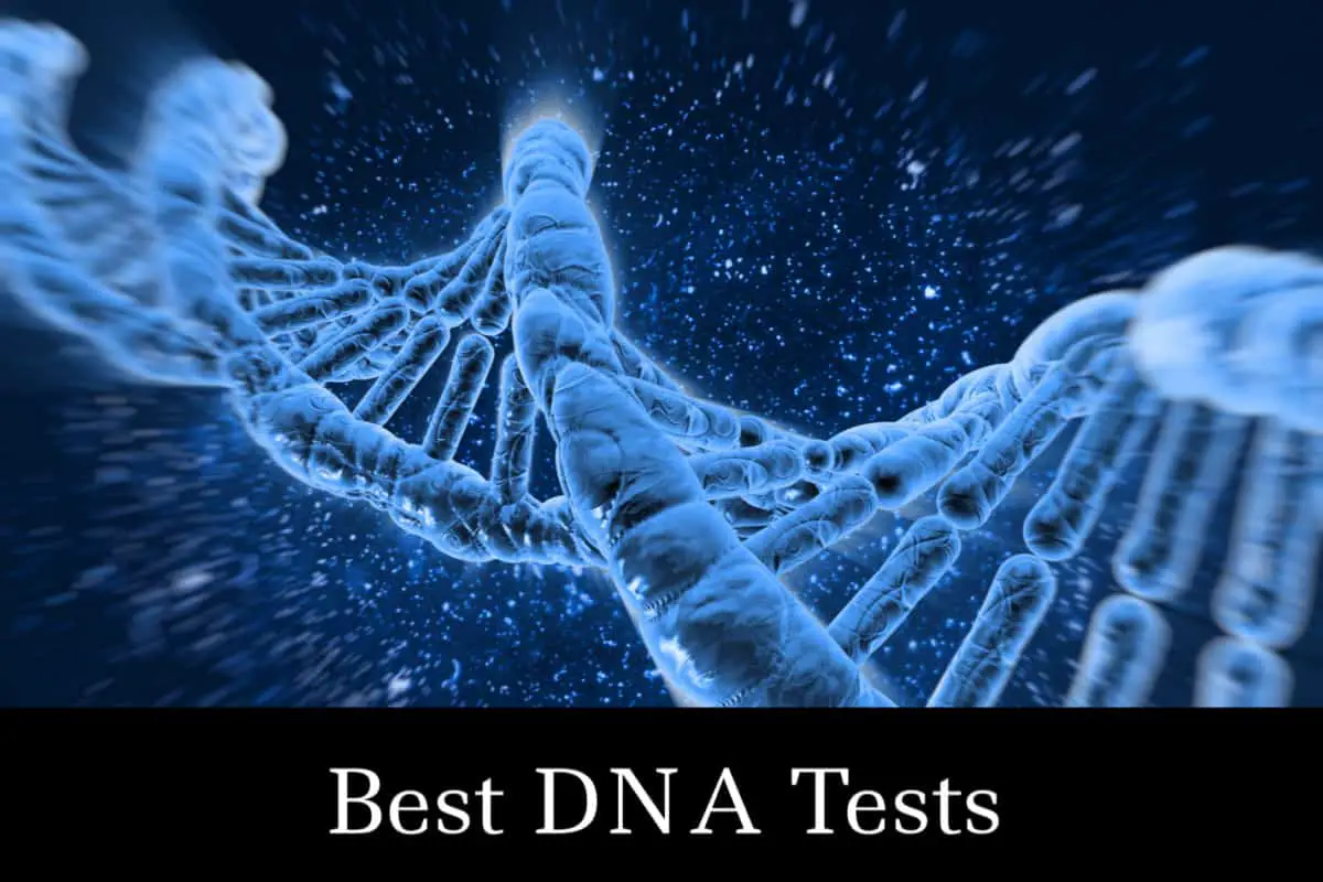 Which Genealogy Test is Best? (Answers and Why)