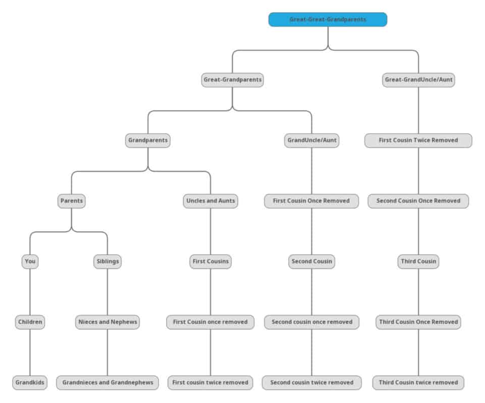 how-do-family-trees-work-with-cousins