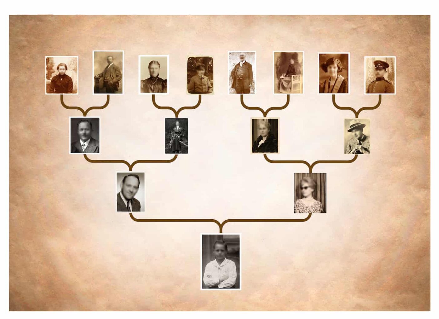 An image of a family tree on a sepia background.