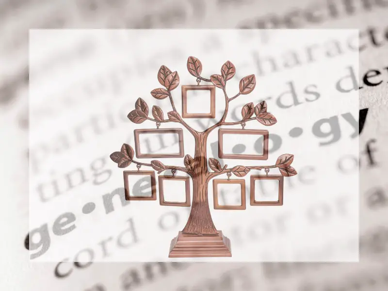 What is Family Genealogy? Guide with FAQs